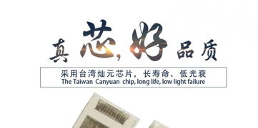 高性价比之光 解析1W白光LED灯珠3030 EMC支架贴片与直插式应用